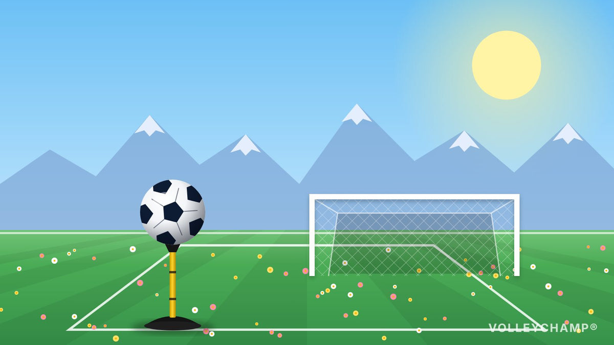 Spring check: how to start the grass season in top shape - VOLLEYCHAMP.COM